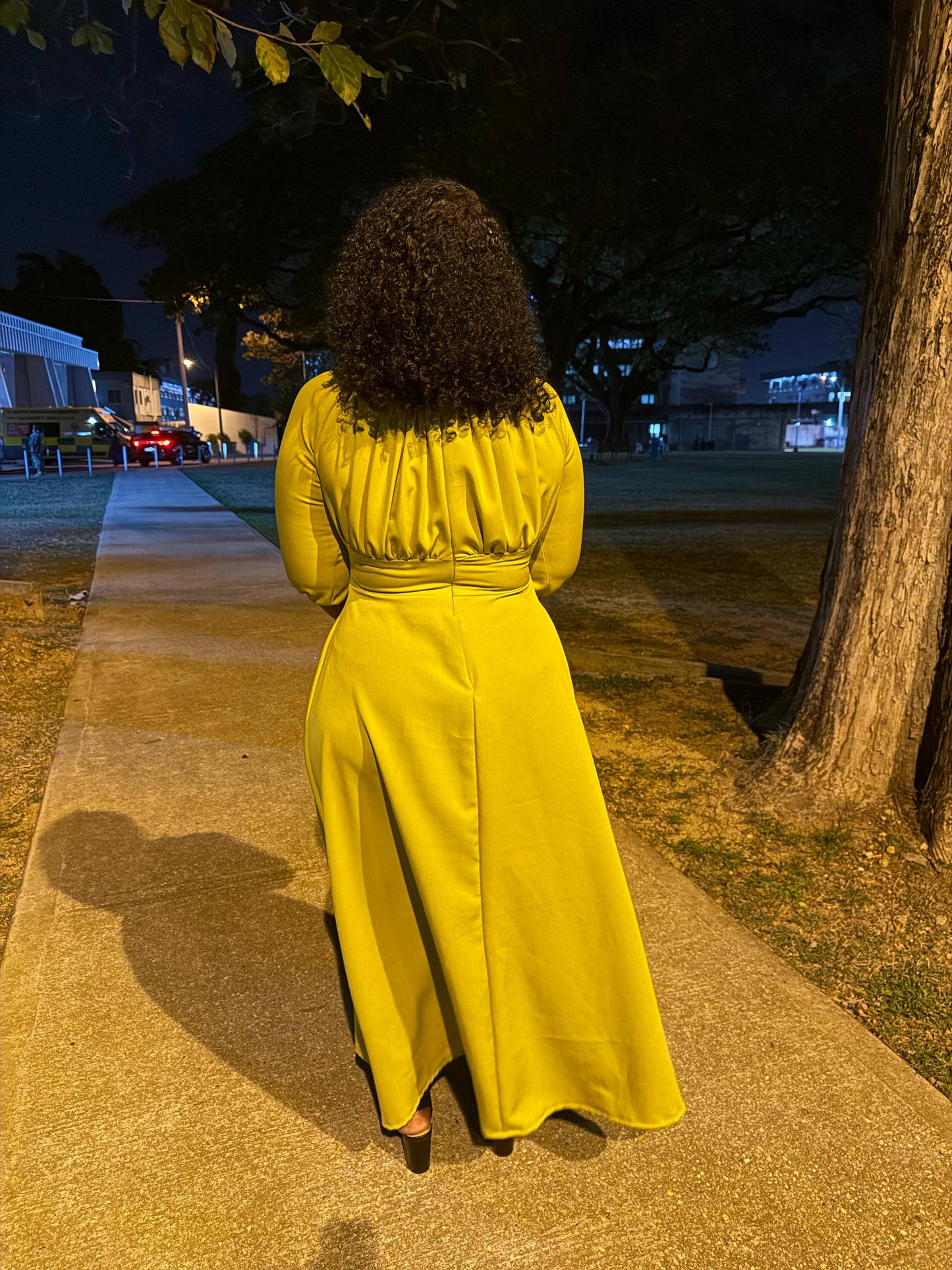 The Liicy Dress, Long Sleeve A-Line Maxi Dress