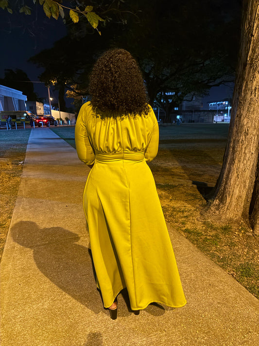 The Liicy Dress, Long Sleeve A-Line Maxi Dress