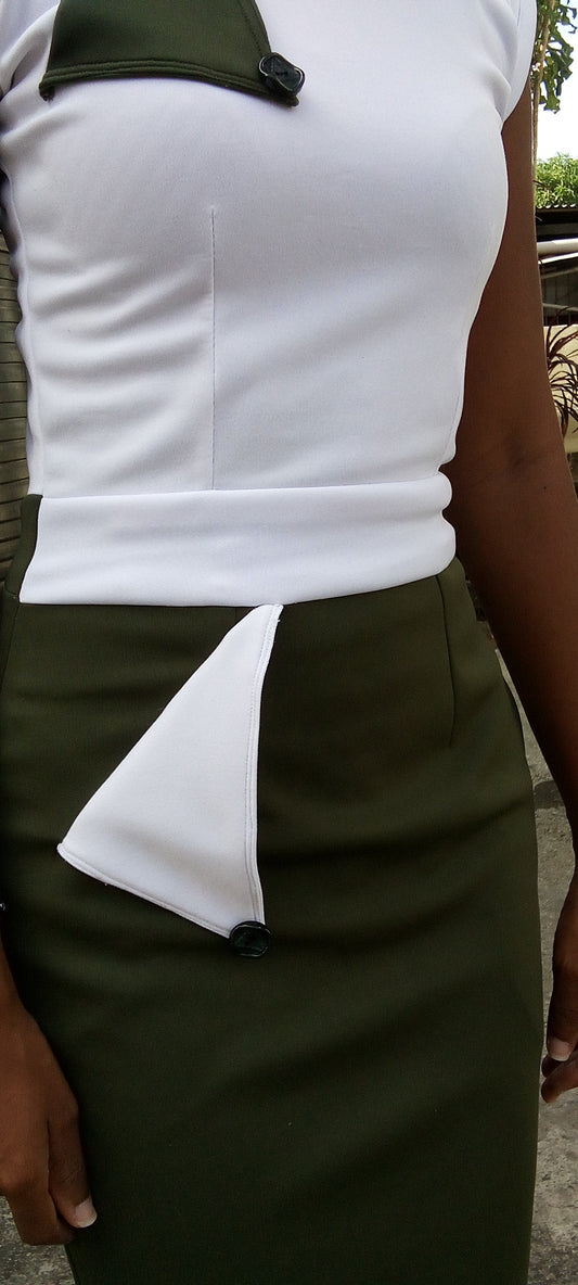 Two Color Pencil Knee Length Dress with Turned in Collar and Sleeves